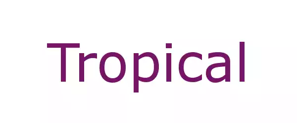 Producent Tropical