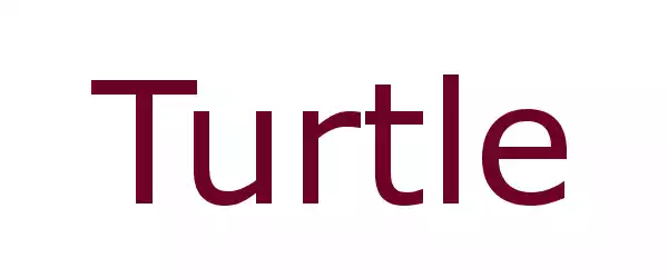 Producent TURTLE