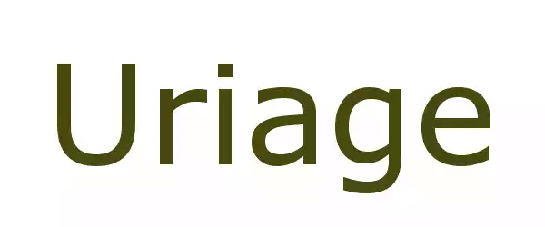 Producent Uriage