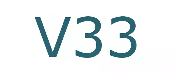 Producent V33