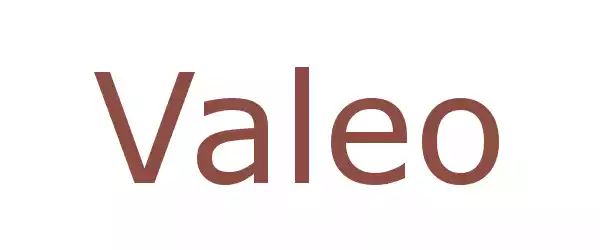 Producent Valeo