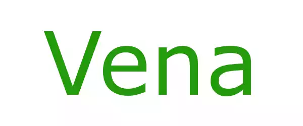 Producent Vena