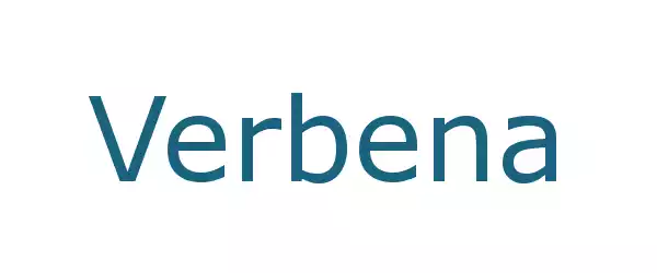 Producent Verbena