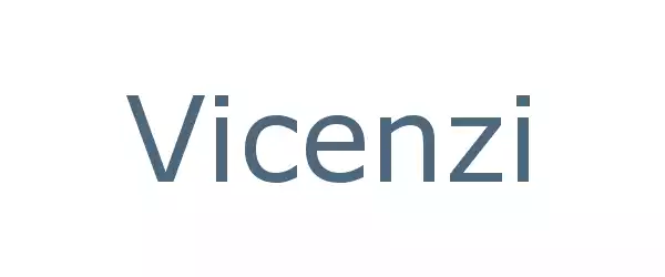 Producent Vicenzi