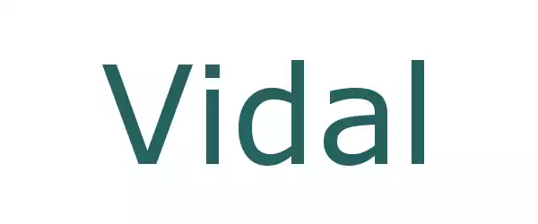 Producent Vidal