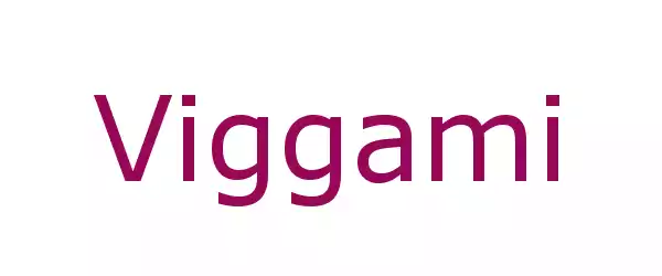 Producent Viggami