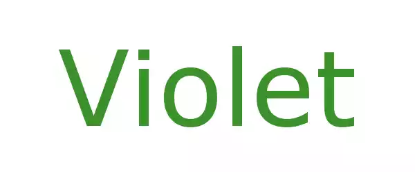 Producent Violet