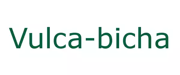 Producent Vulca-bicha
