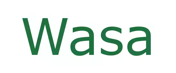 Producent Wasa