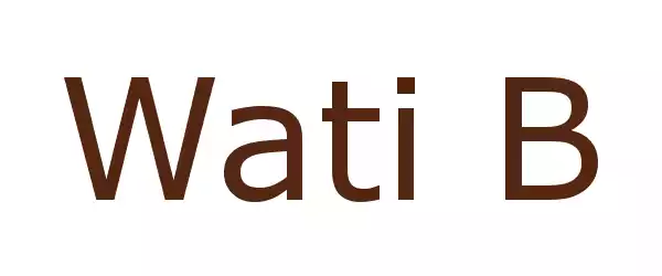 Producent Wati B