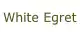Sklep cena White Egret