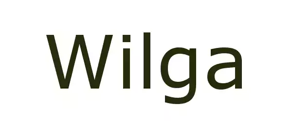 Producent Wilga