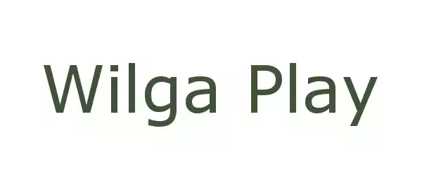 Producent Wilga Play