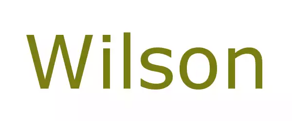 Producent Wilson