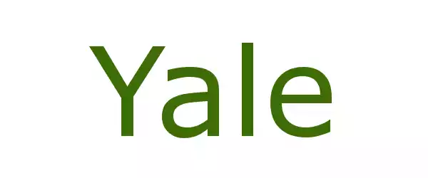 Producent YALE