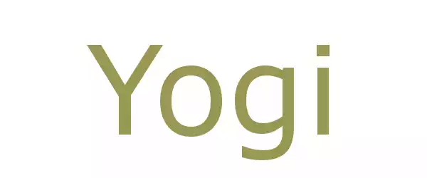 Producent Yogi