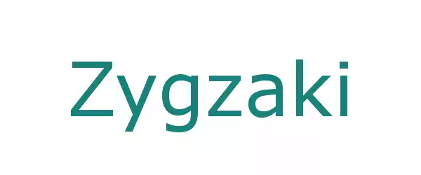 Producent Zygzaki
